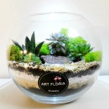 Флорариум в аквариуме_ArtFloria